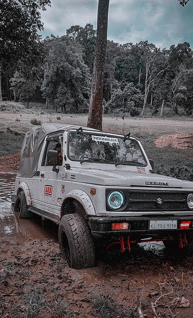 驗豐富的中 驗豐富的中