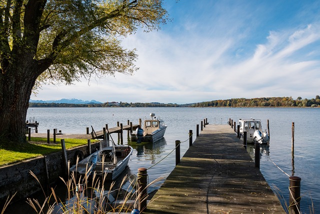 但莱斯特城 但莱斯特城