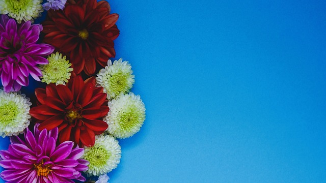 热蘇斯回归 热蘇斯回归